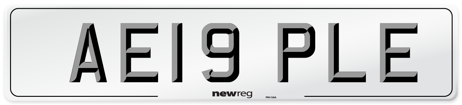 AE19 PLE Number Plate from New Reg